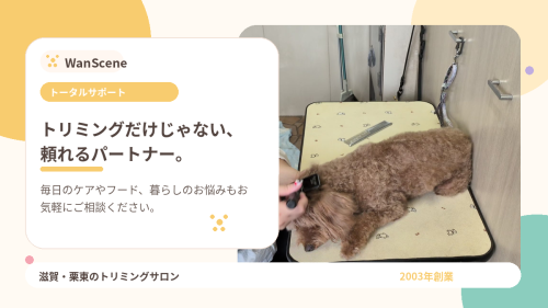 04_WanScene_TOP用.png