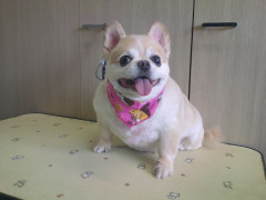 DSCF0002.JPG