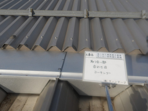 IMGP0828.JPG