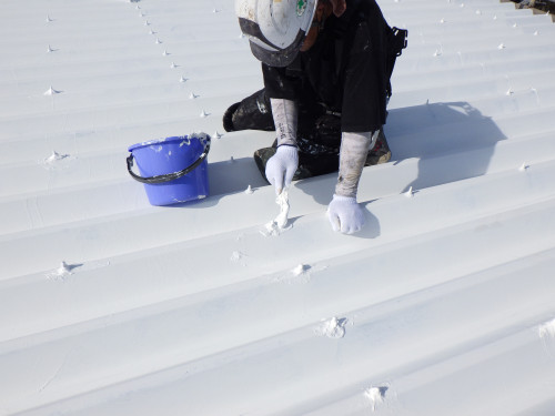 RIMG5859.JPG