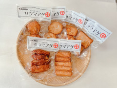季節のさつま揚げ真空セット（冷凍）
