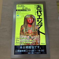 image0 (24).jpeg