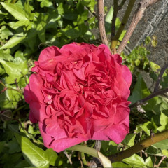 image2 (8).jpeg