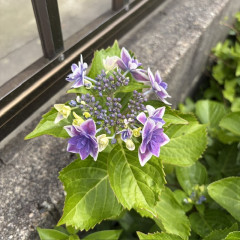 image0 (28).jpeg