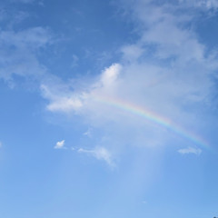image0 (108).jpeg