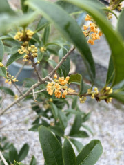 image0 (34).jpeg