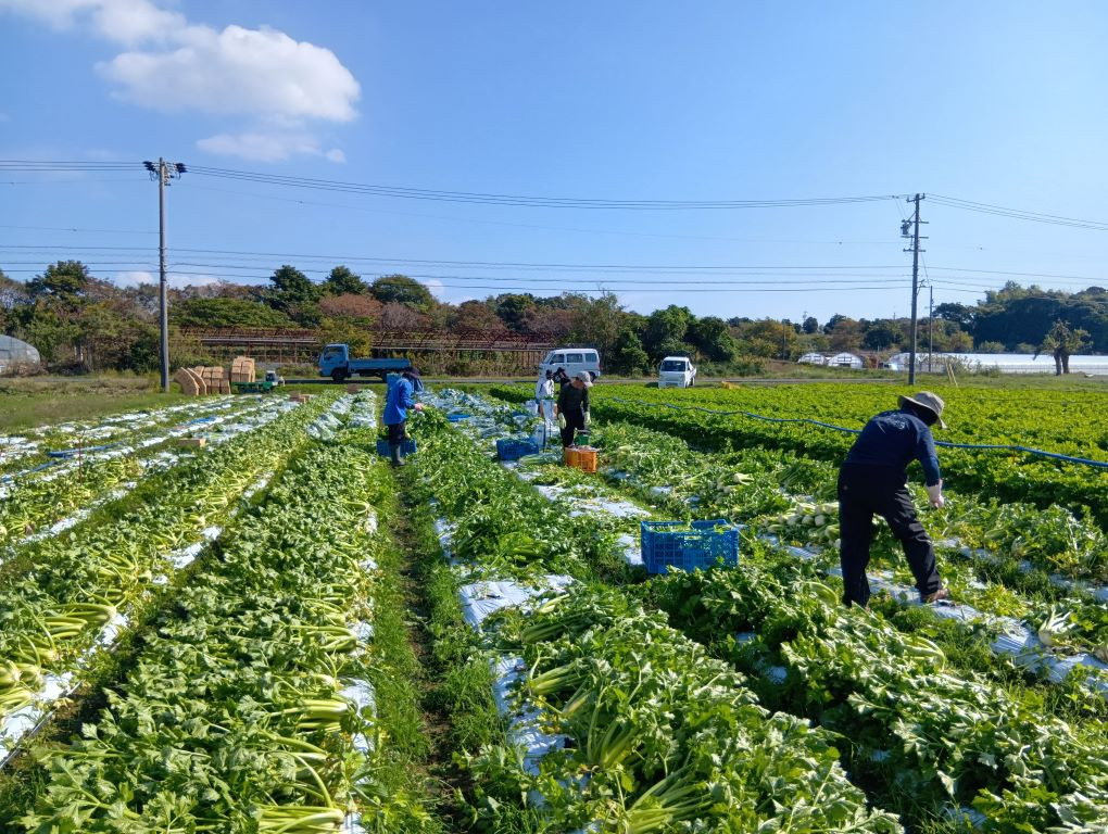 イベント開催します