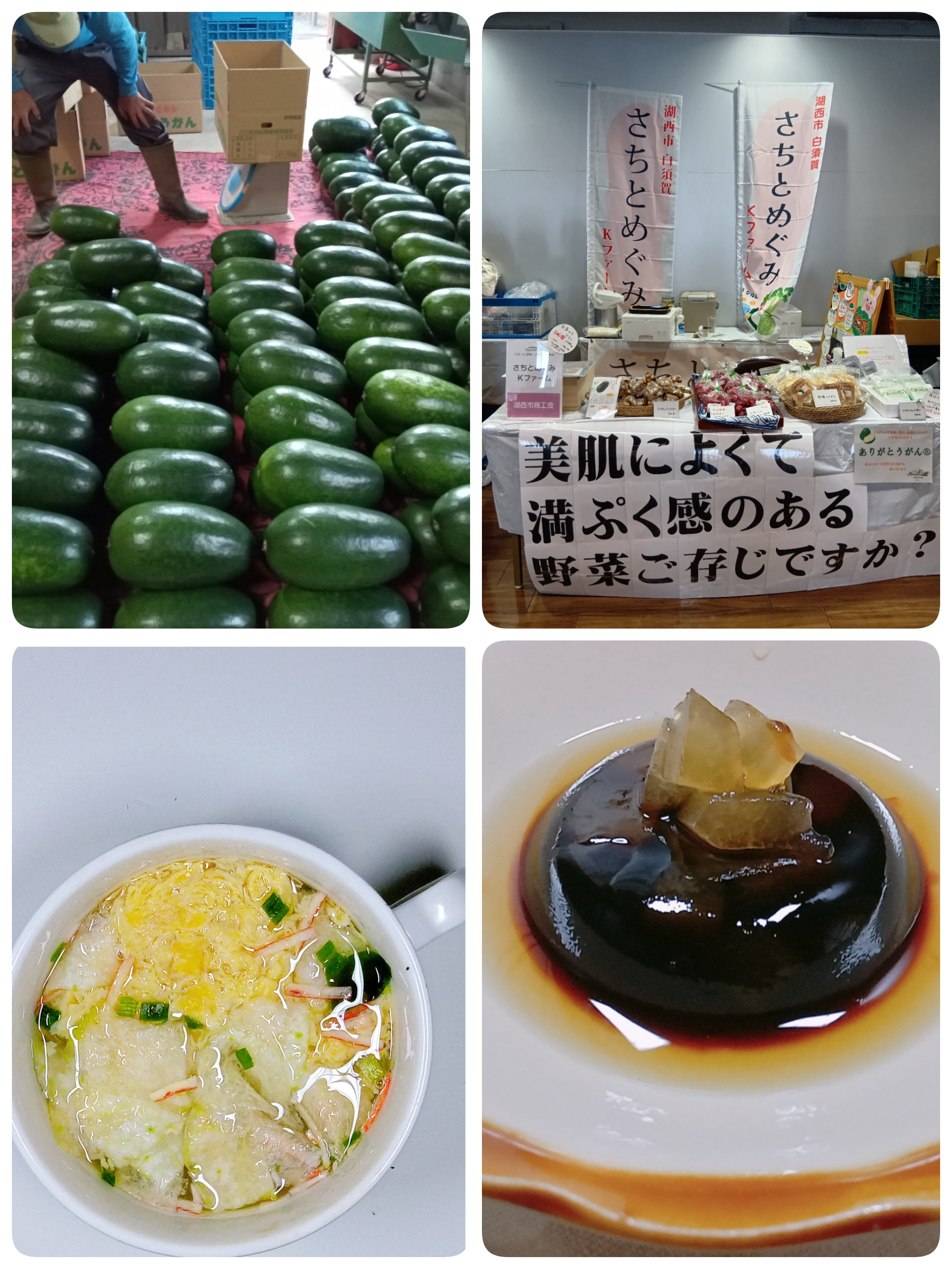 冬瓜への皆様からのお声