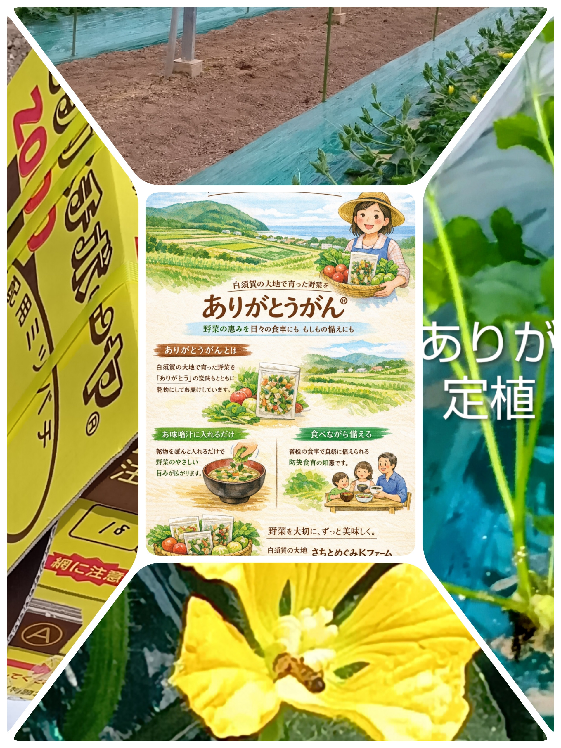 いのちをつなぐ畑から、ありがとうがんⓇへ