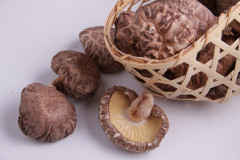椎茸・乾椎茸②.JPG