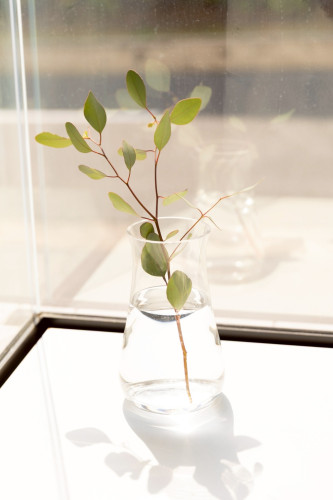 スタジオの様子