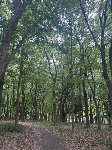 大阪城公園風景.jpg