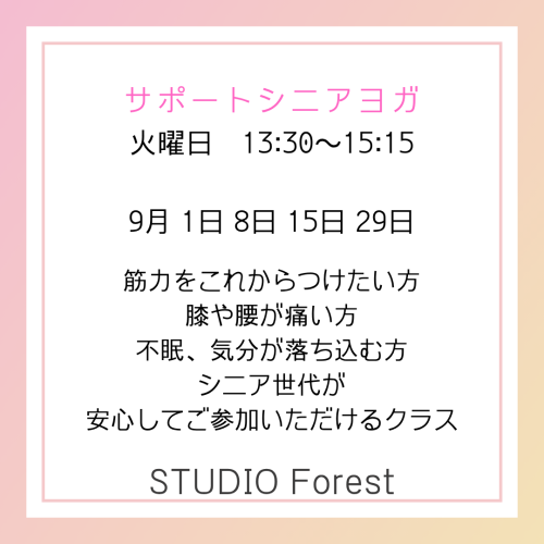 サポートシニアヨガ.png