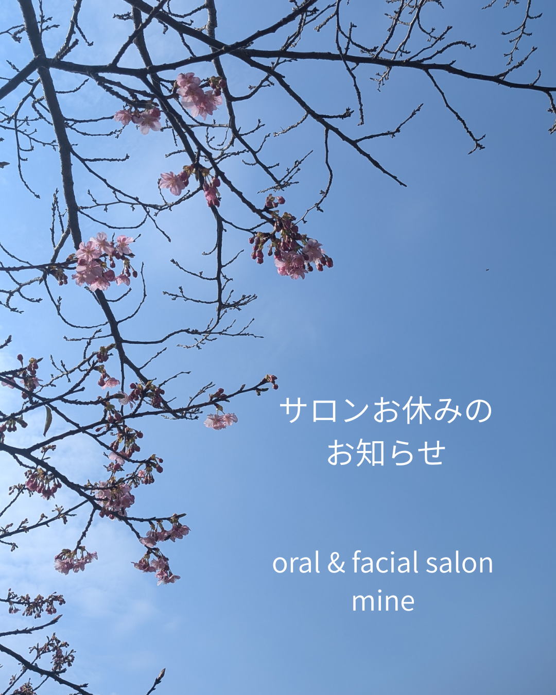 サロンお休みのお知らせ
