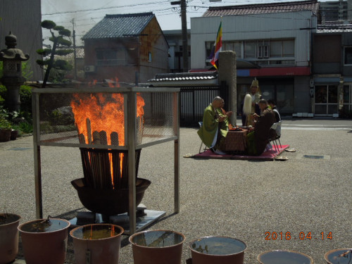 DSCN0469.JPG