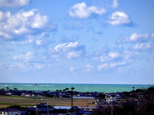 IMG_9556 2.jpg