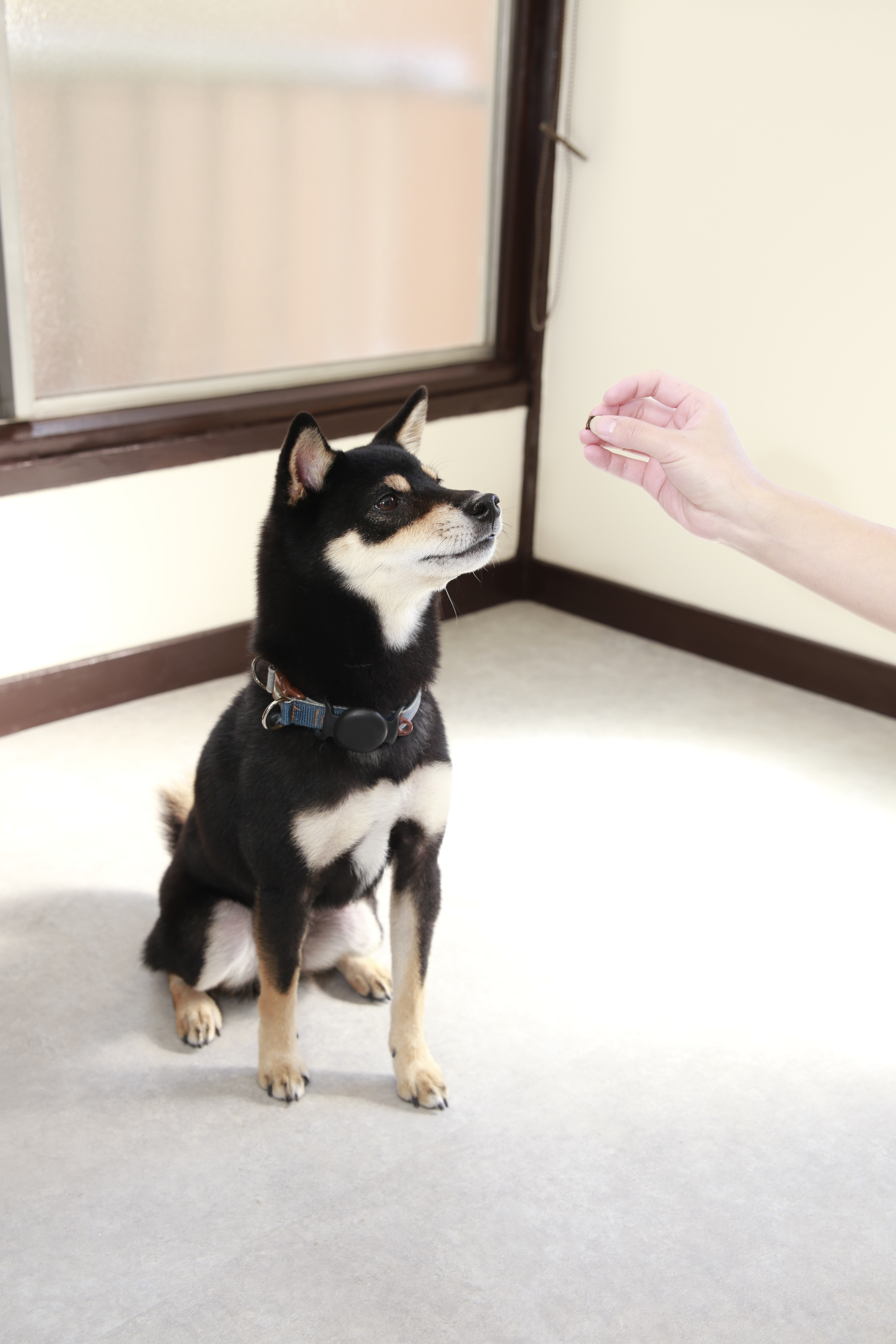 Open記念 割引のお知らせ📢✨