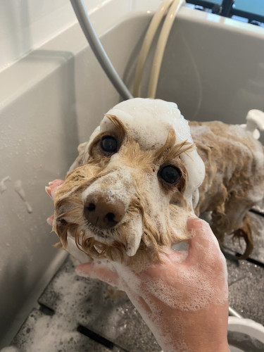 Open記念割引のお知らせ📢✨