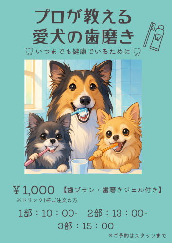 歯磨き教室 開催決定🦷🪥