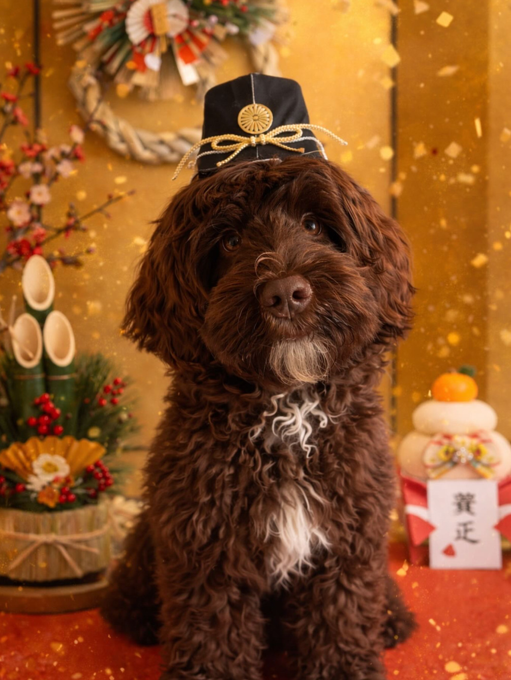 新年明けましておめでとうございます🎍