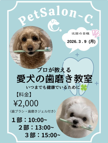 第３回 はみがき教室🐶🪥