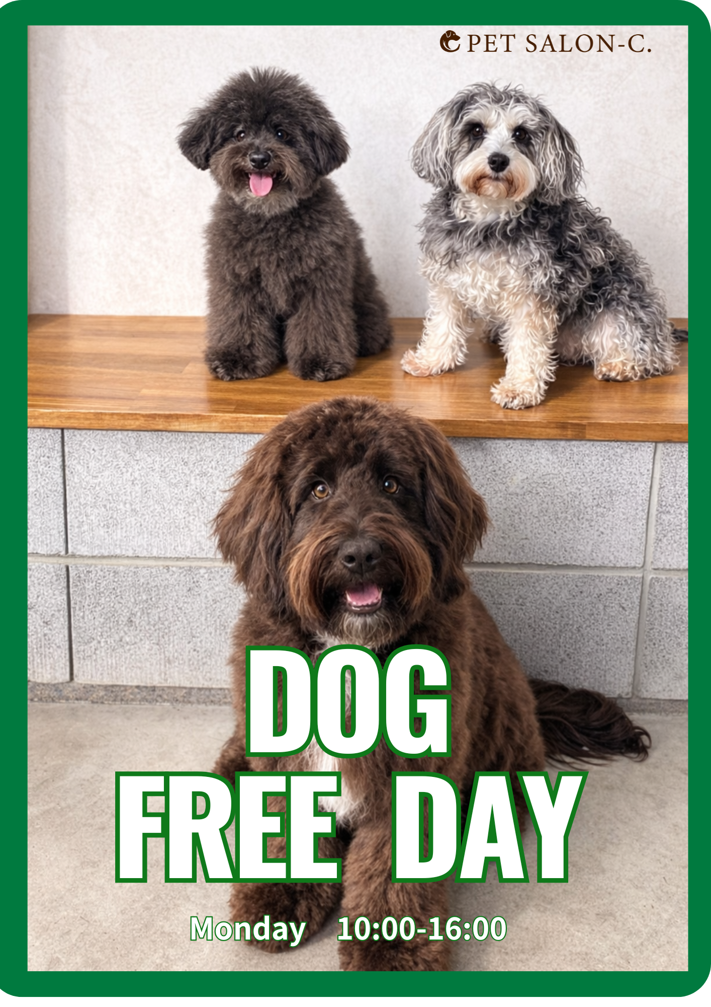 🐶Dog Free Day🐾