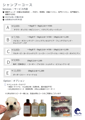 緑 紫 シンプル トリミングサロン 料金表 チラシ (小冊子（210 x 297mm）) - 1.png