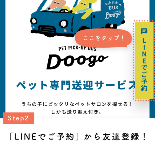 doogo_instagram_3.png