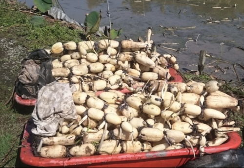 スクリーンショット 2025-11-18 9.53.23.png