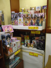 DSC02825.JPG