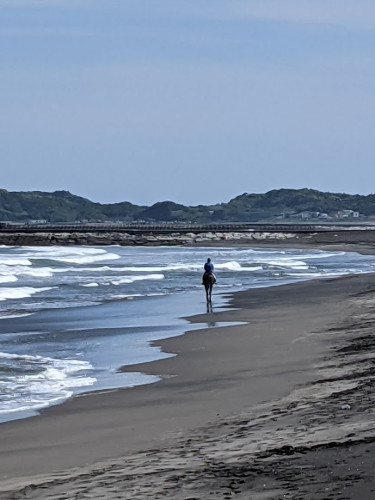 海を行く馬 - コピー.jpg