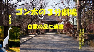 シラサギの足に.jpg