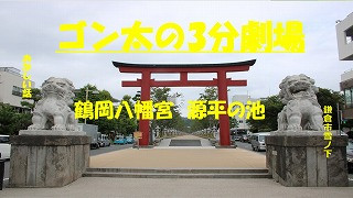 源平の池.jpg
