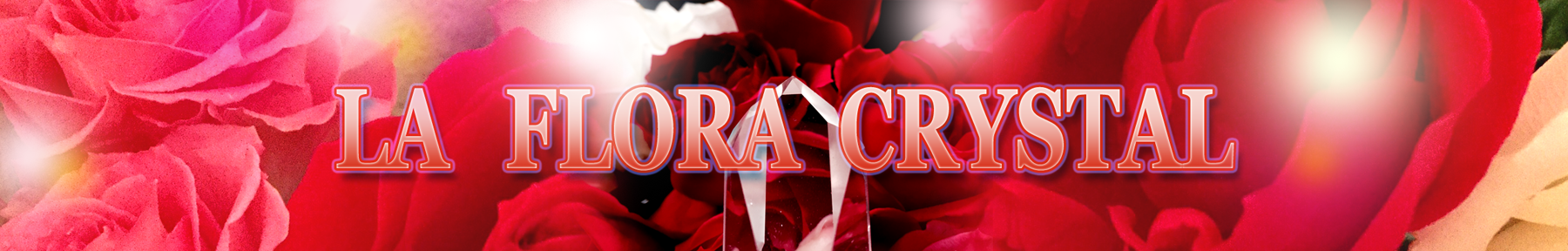 二瓶誠子 公式サイト