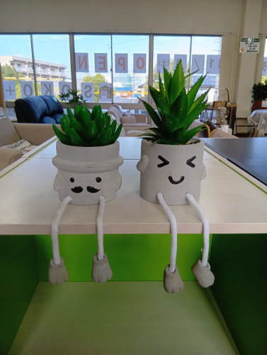 251121093732788.JPG