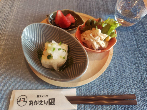 2026/04/15　揚げ出し豆腐