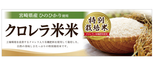 特別栽培米宮崎県産ひのひかりクロレラ米POP-1.jpg