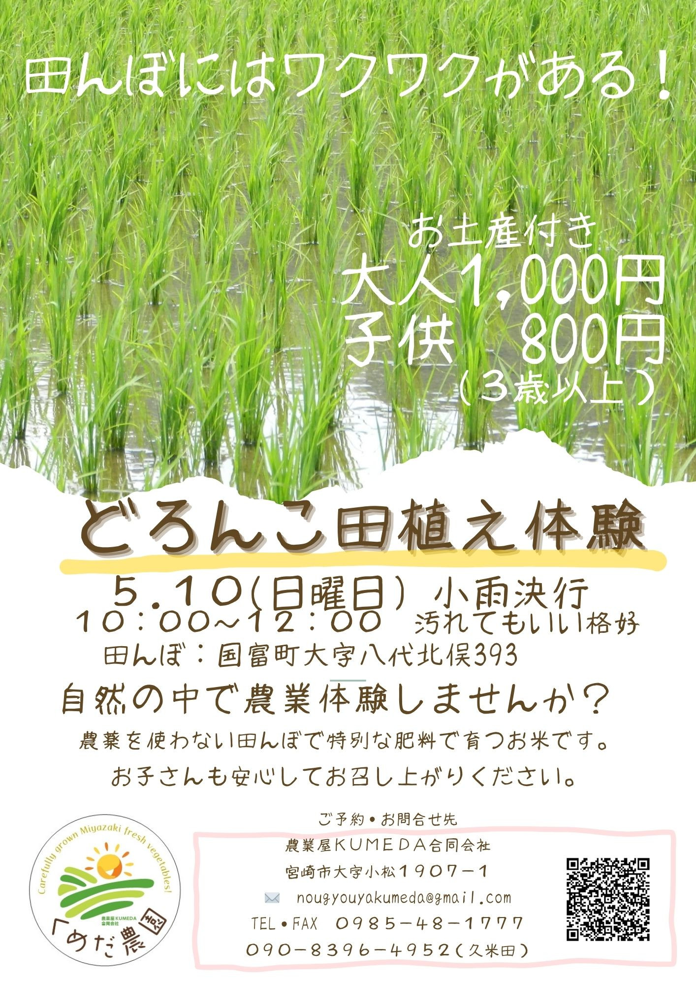 どろんこ田植え体験のお知らせ