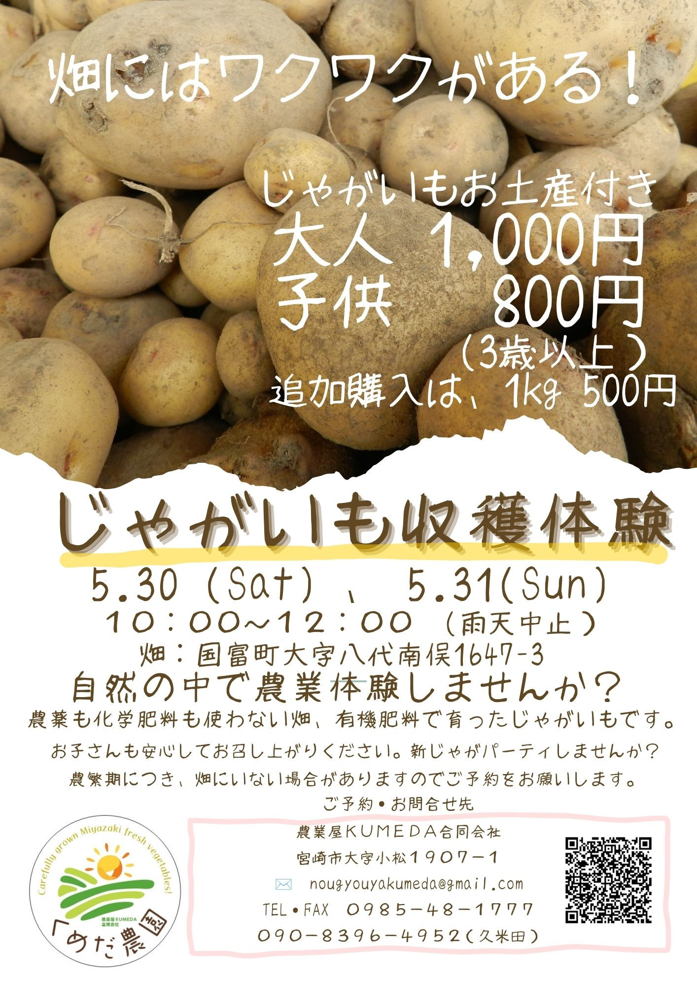 じゃがいも収穫体験のお知らせ