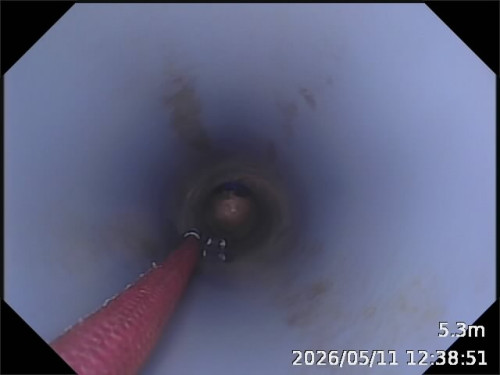 20260511123852.jpg