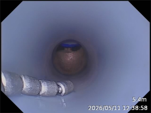 20260511123859.jpg