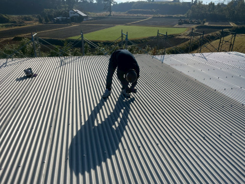 585607216829301133.jpg