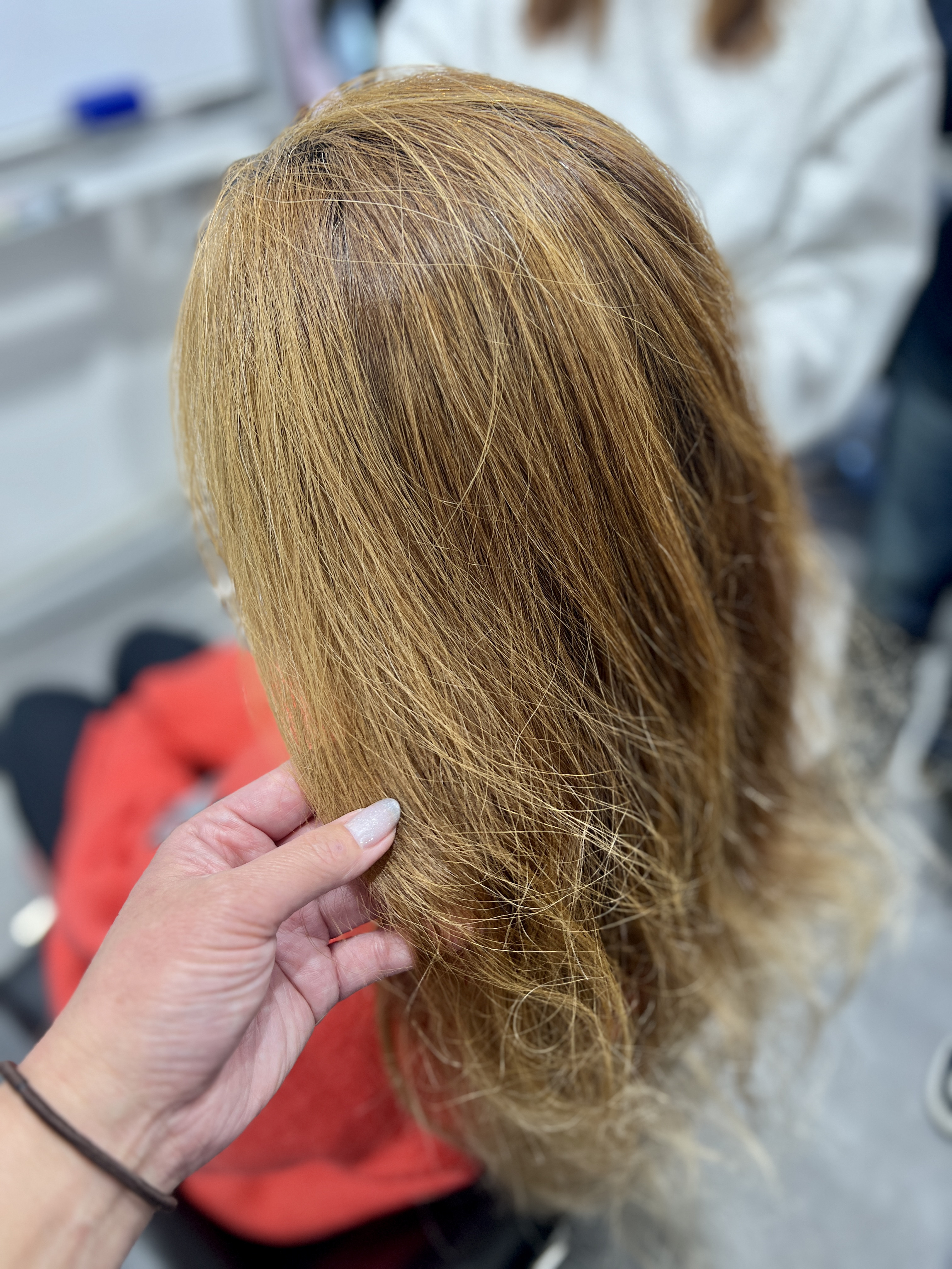 日常へ戻す、学びについて