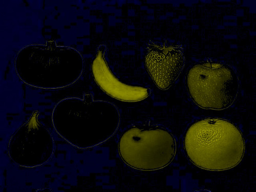 fruits_by.jpg
