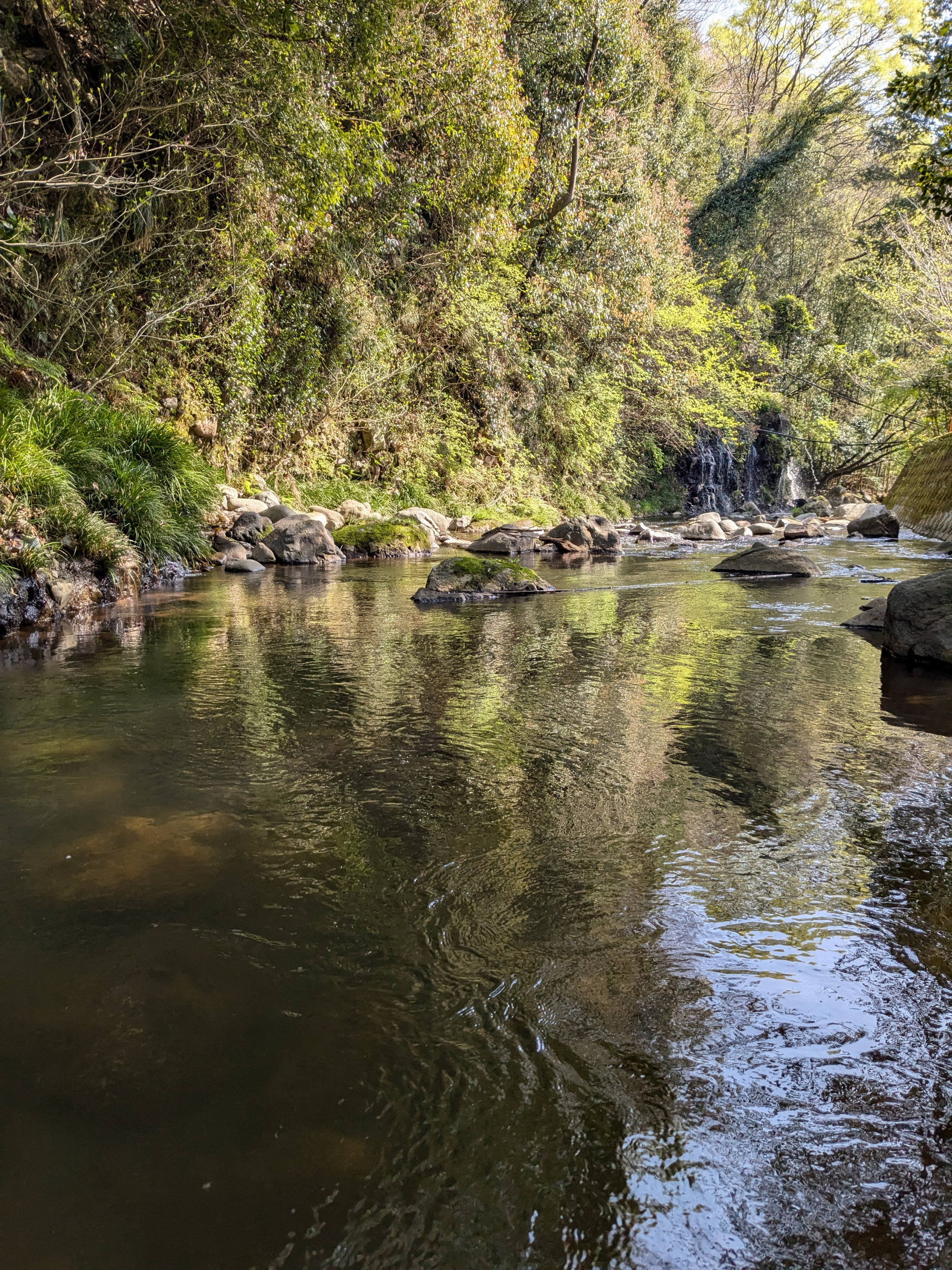 瀧川神社の川。瀬織津姫命の生誕の地