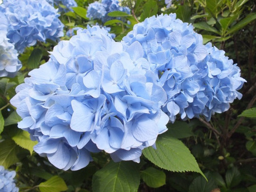 DSCF8281 - コピー.jpg