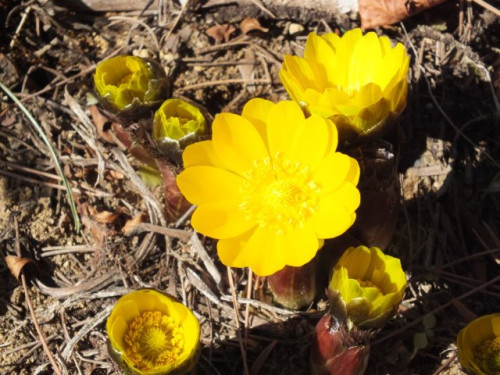 DSCF1497.jpg