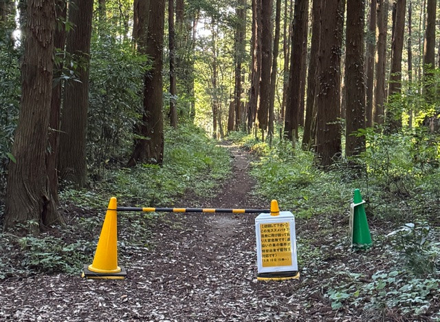 悪天候・強風時は臨時休園（木育体験も休止）の場合があります