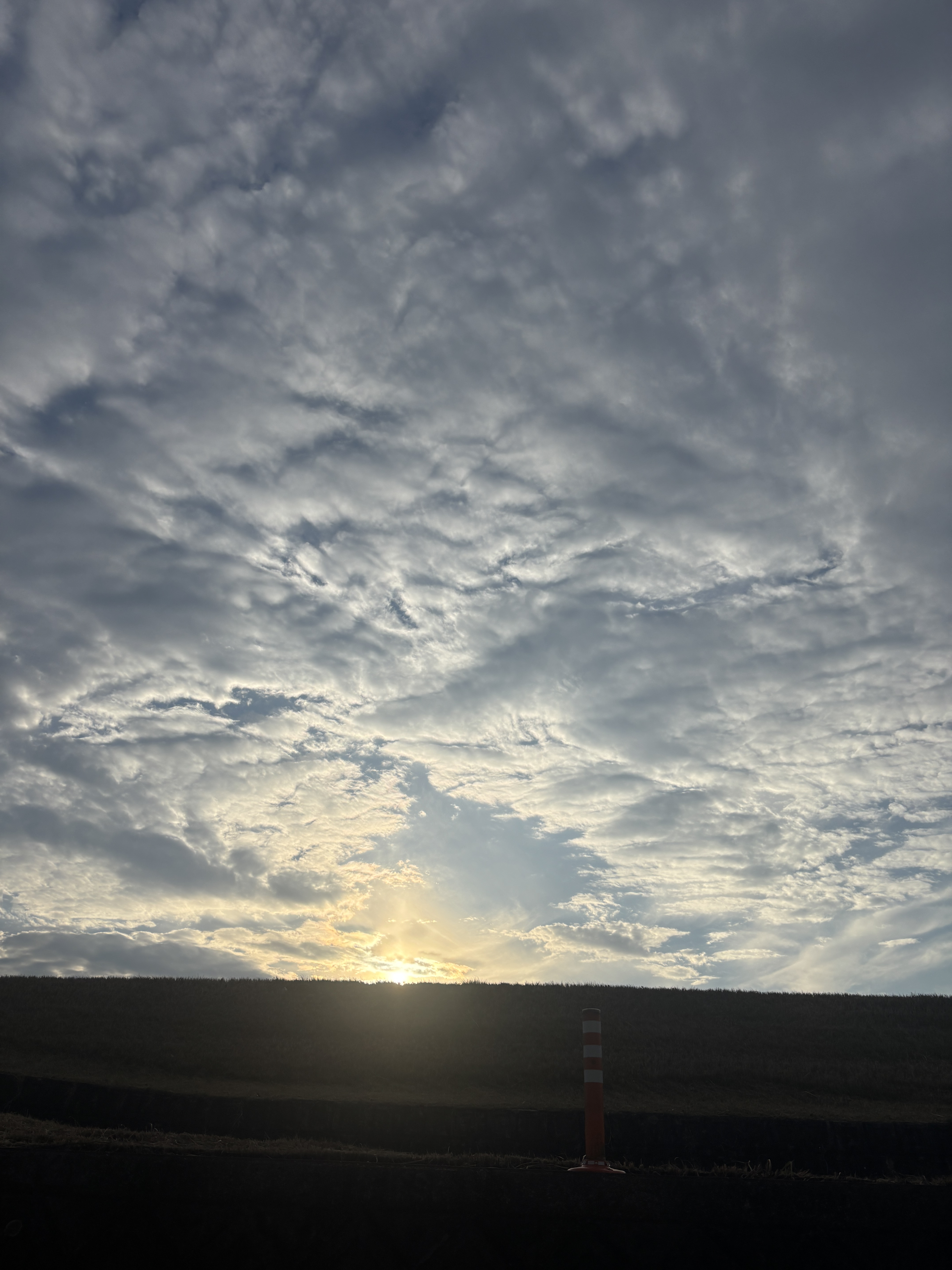 お知らせサンプル