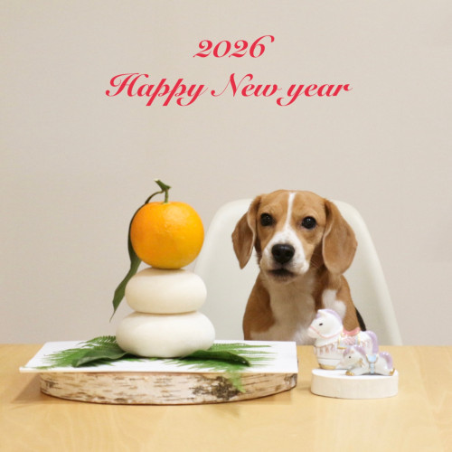 2026.01 新年ロコ①.JPG